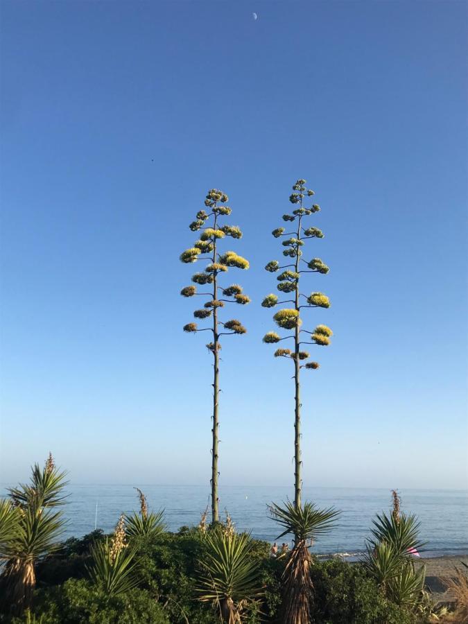 Marbella - Estepona Beach Frontline Apartment Exterior photo